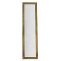Moes Cate Tall Mirror, Antique ZY-1009-01